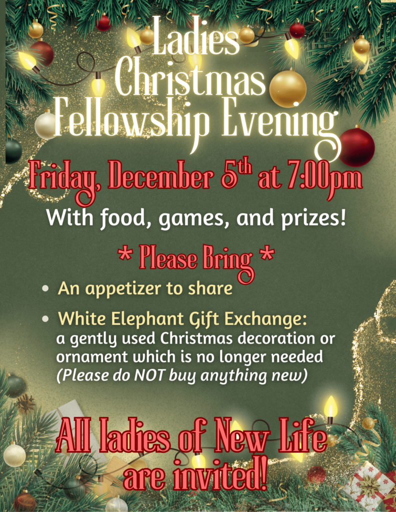 Ladies Xmas Event (1)
